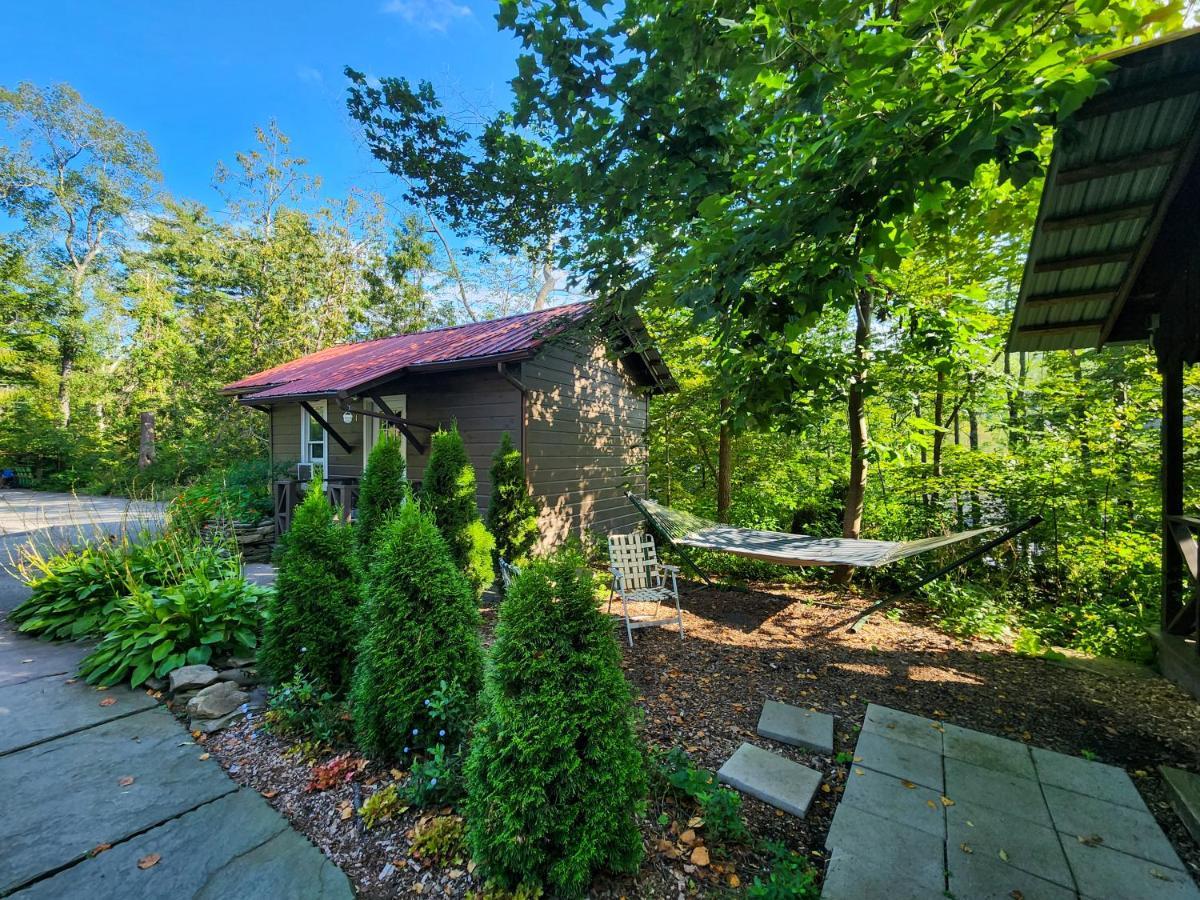 Belleayre Lodge Pine Hill Εξωτερικό φωτογραφία