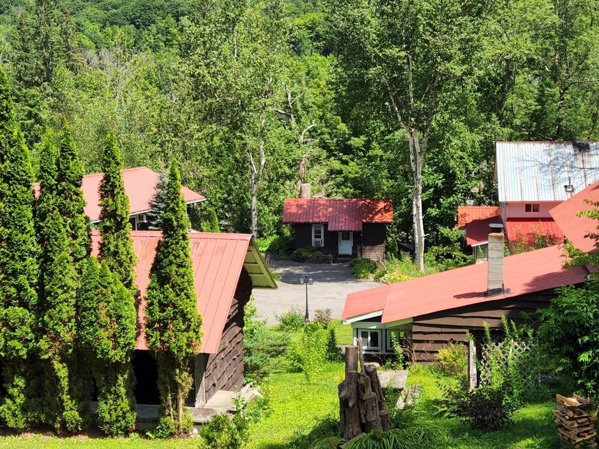 Belleayre Lodge Pine Hill Εξωτερικό φωτογραφία